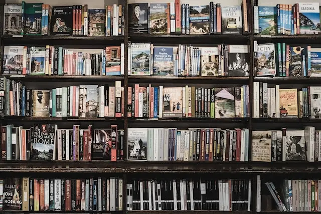 Bookshelf with books